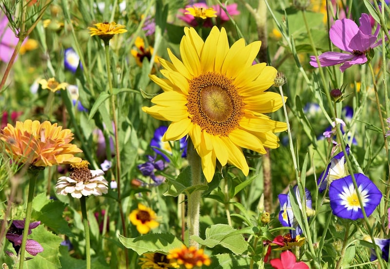 Group Gardening