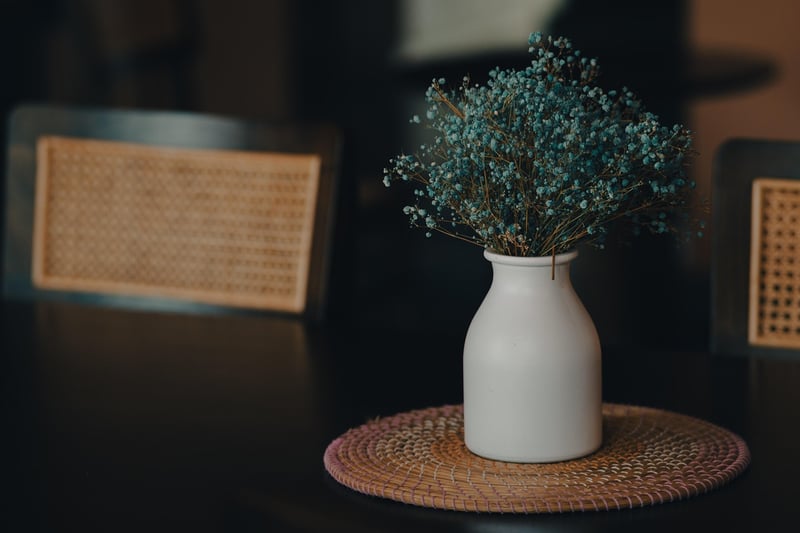 Indoor Plant Care